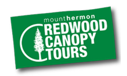 Redwood Canopy Tours