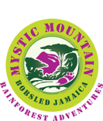 Rainforest Adventures Bobsled Jamaica
